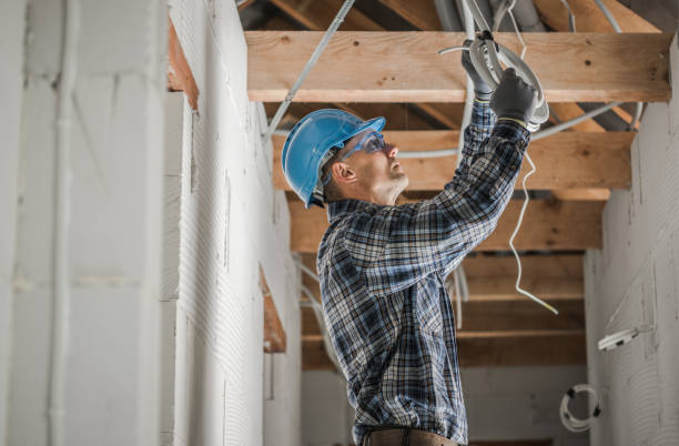 Best Ceiling Fan Installation Electrician  in Texas City, TX