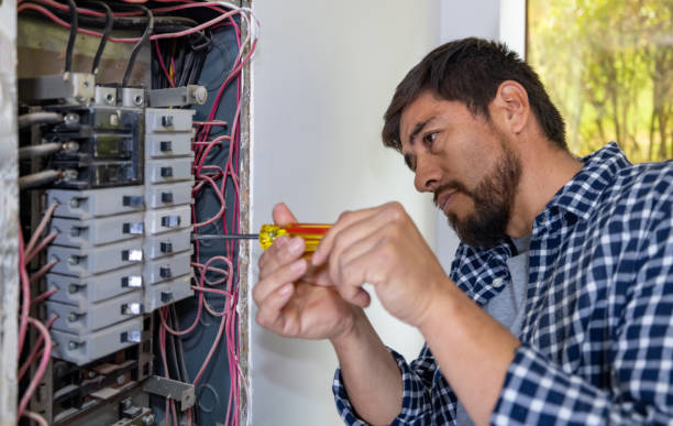 Best Electric Panel Repair  in Texas City, TX
